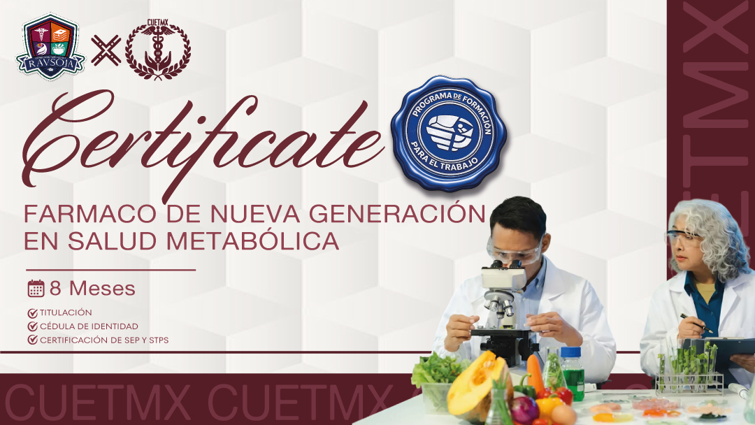 Diplomado en Terapias Holísticas